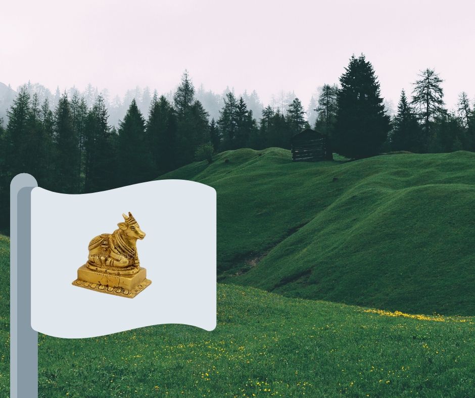 Flag with website logo on a hill